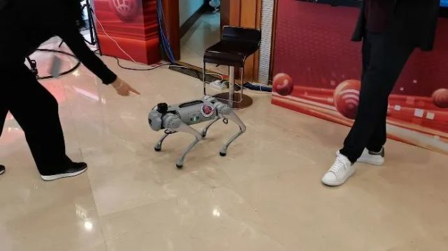 聚焦二十大，各廣電推出了哪些融媒體作品？